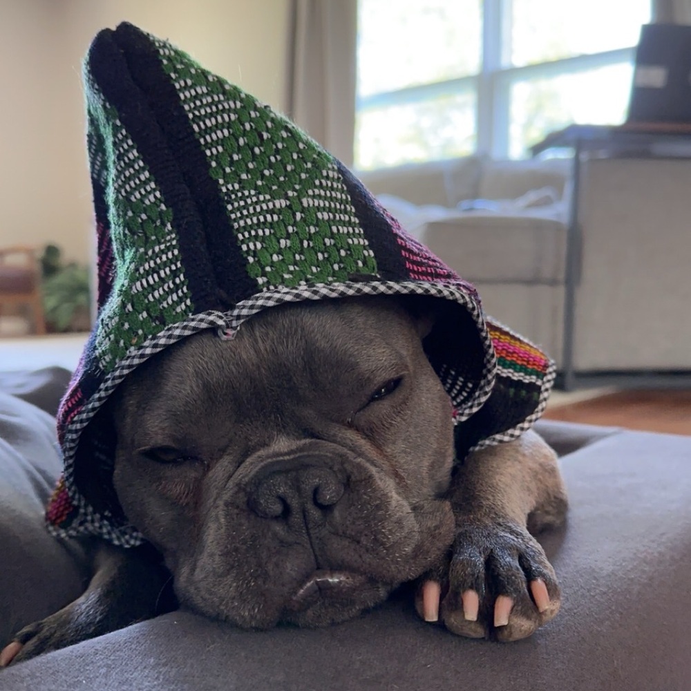 Colorful Striped Hooded Poncho for Dog